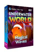 Magical Waves DVD