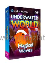 Magical Waves DVD