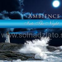 Into The Night CD