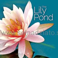 Lily Pond CD