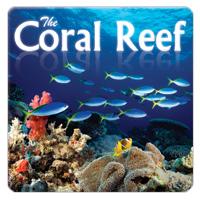 Coral Reef CD