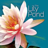 Lily Pond CD